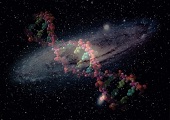 Anthropic Universe