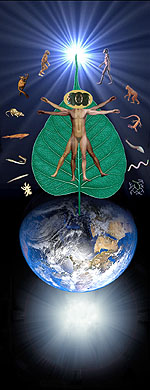 Anthropic Mandala - a meditation on the evolution of human intelligence