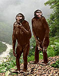 Ardipithecus ramidus diorama - Awash Valley, Ethiopia 4.4 Mya