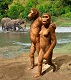 Australopithecus afarensis diorama - Awash Valley, Ethiopia 3.2 Mya