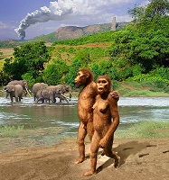 Australopithecus afarensis (Lucy) digital diorama - Source: evolution-involution.org