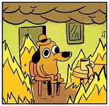 Covid quarantine - This is fine