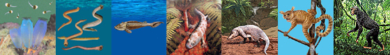 One Minute Evolution One Minute Evolution