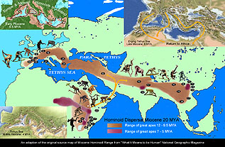 Interactive Map of Miocene Hominoid Radiation