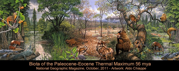 Biota of PETM: Paleocene-Eocene Thermal Maximum - evolution-involution.org