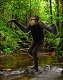 Nakalipithecus nakayamai diorama - Kenya 8 Mya
