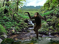 Nakalipithecus nakayamai in incipient bipedal gate - evolution-involution.org