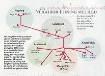 Neighbor Joining Chart