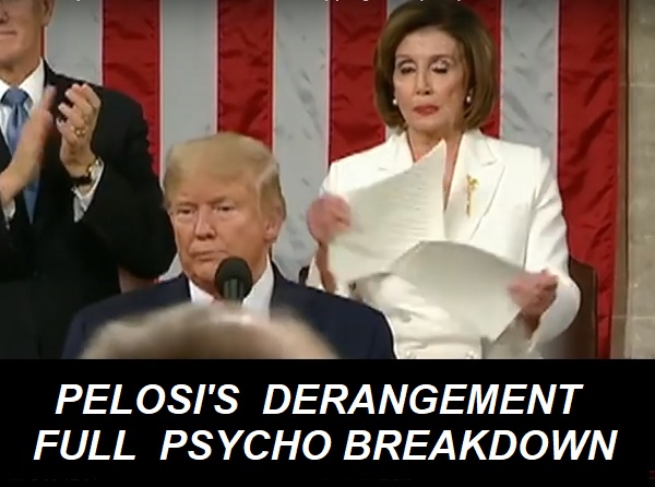 video - Nancy Pelosi rips Trump's 2020 SOTU speech