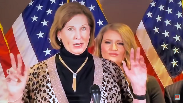Sidney Powell, Trump attorney press conference Nov 19, 2020