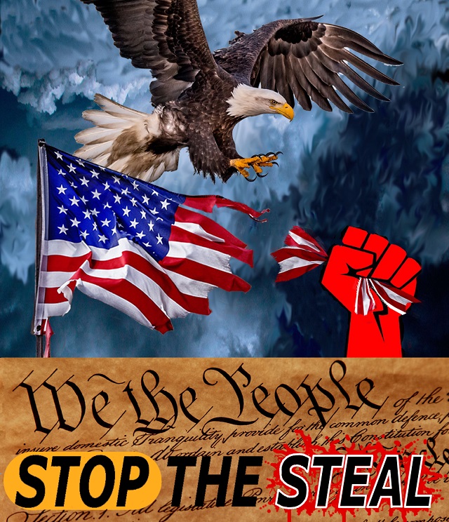 Stop The Steal Meme- 2020 election process defied constitutional law - only revote can insure integrity