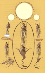 Transcendent Journey