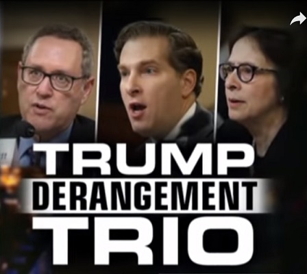 3 impeachment scholars with TDS