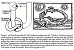 Ham Cosmology and The Uroboros