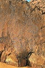 Rock Engraving in Chad