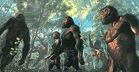 Australopithecus afarensis in forested habitat - National Geographic Magazine