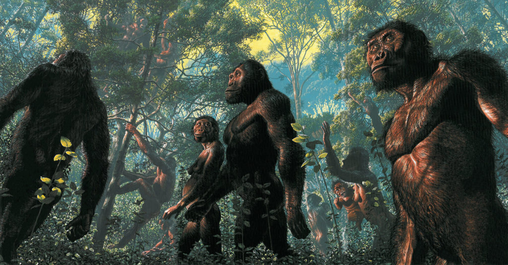 Australopithecus afarensis in forested habitat - National Geographic Magazine