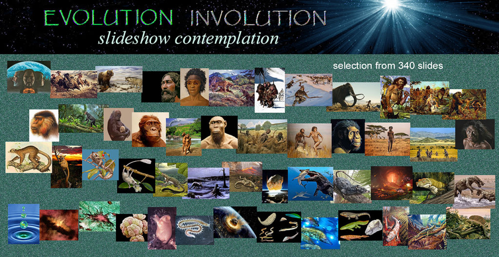 evo invo slideshow map of selected images from 340 slides Evolution-Involution slideshow