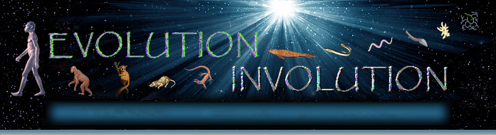 evolution-involution-header-web