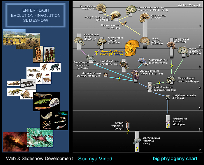 evolution-involution-slideshow