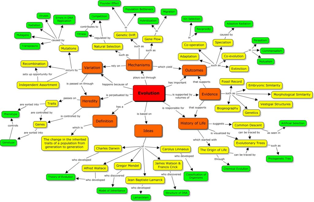 Evolution Concepts Map - Featuring Biogenic Parameters
