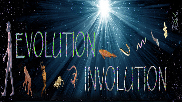 evolution involution heading