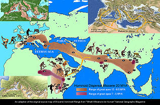 Interactive Map of Miocene Africa/Eurasia Hominoid Radiation