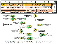 Range Chart for Western Eurasia Hominoids - Source: pnas.org