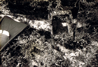 Roman Lead Anchor Stock