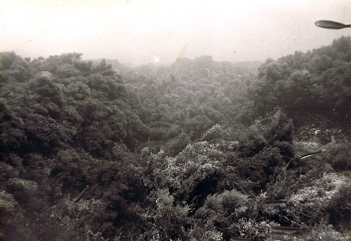 Keith Reef Looking North