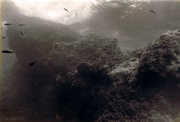 Top of Keith Reef