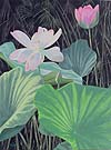 Lotus - stages of life