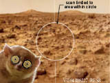 Viking Robots Found Life On Mars