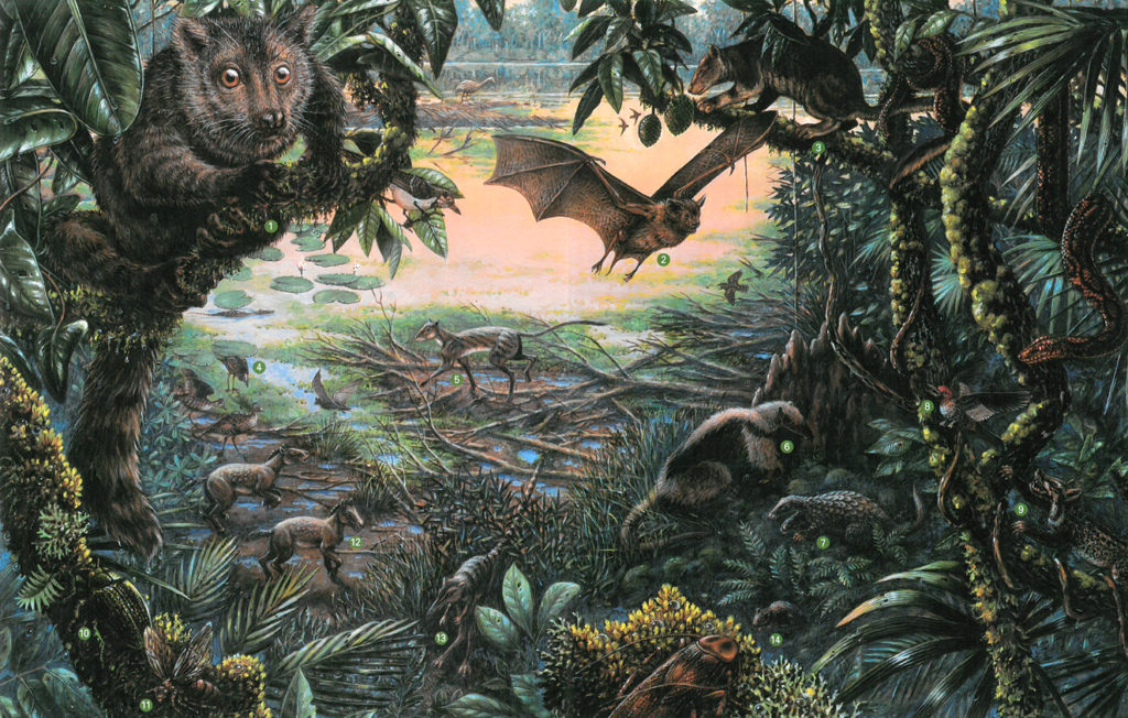 Eocene Biota - diorama reconstruction from fossils recovered from quarry at Messel, Germany