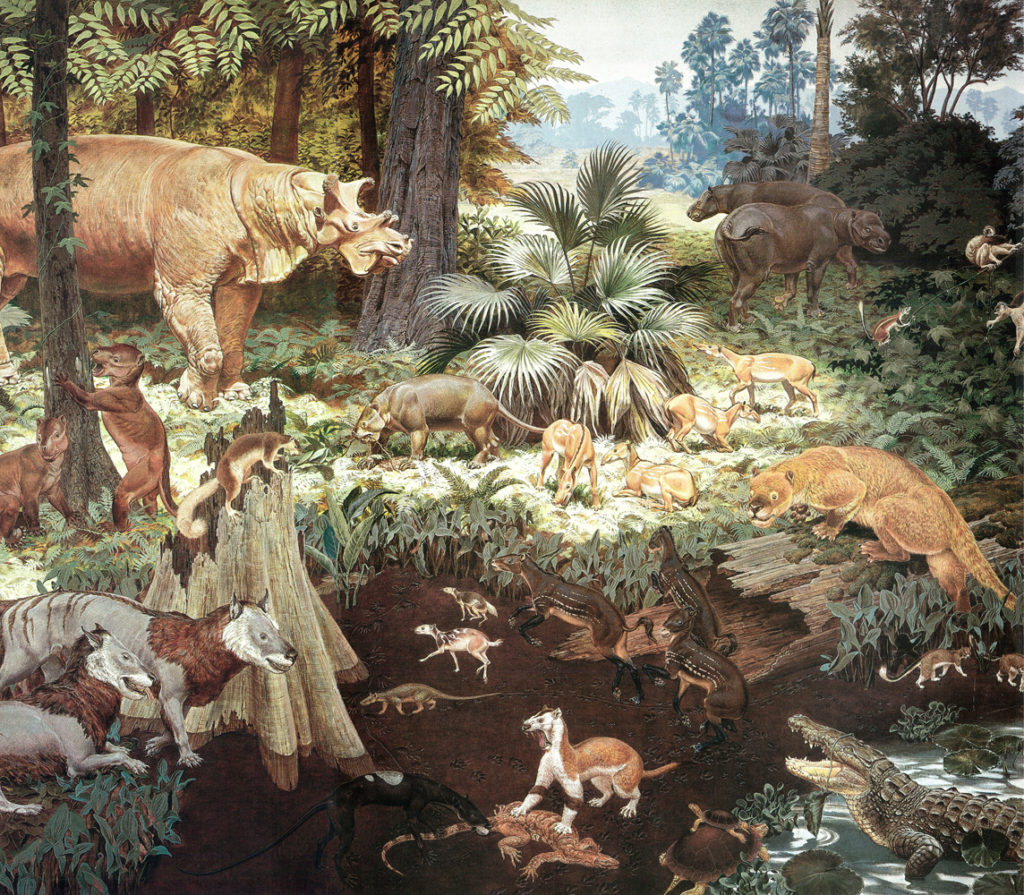 Middle Eocene Mural by Jay Matternes - National Geographic Magazine