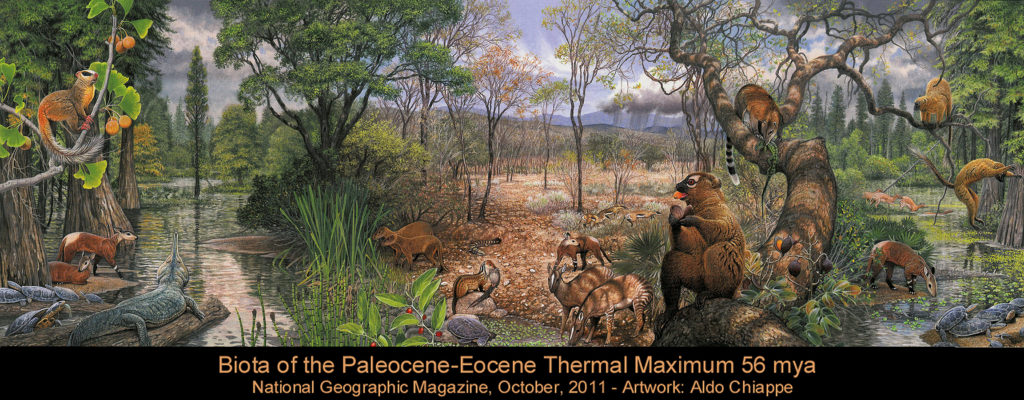 North America Biota of PETM: Paleocene-Eocene Thermal Maximum - the rise of mammals and true primates