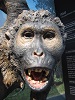 Pierolapithecus 11.9 Ma Catalonia, Spain - Detail of diorama: Institut Catala de Paleontologia Miquel Crusafont
