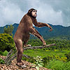 Sahelanthropus tchadensis - Chad  Source: Face Reconstruction: Elizabeth Daynès http://www.daynes.com/en/home.php