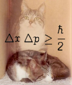 Schrodinger's Cat - Quantum Uncertainty