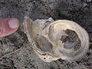 Object excavated - finger pointing to blade