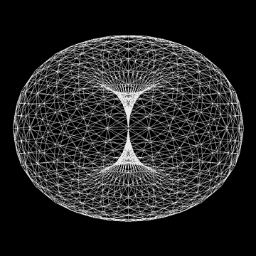 Toroidal Flow Pattern