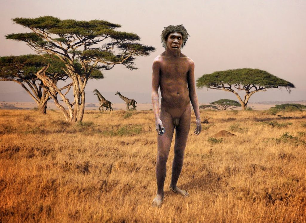 Turkana Boy - Homo erectus 1.7mya Lake Turkana, Kenya