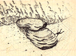 Diagram- Detail of Xlendi Bay Underwater Archaelogical Site