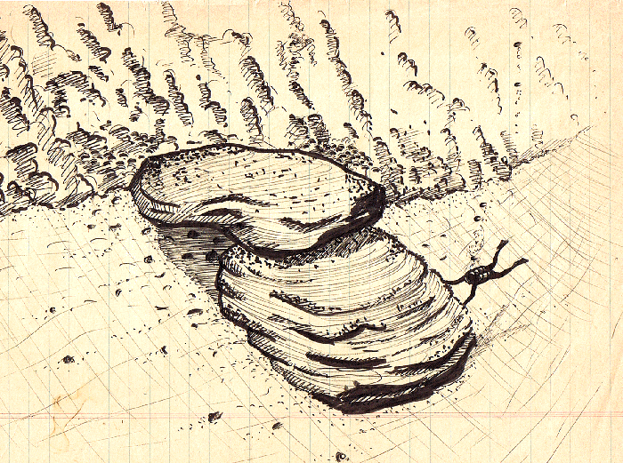 Diagram- Detail of Xlendi Bay Underwater Archaelogical Site