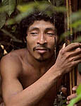 Awá Tribe Recently Contacted